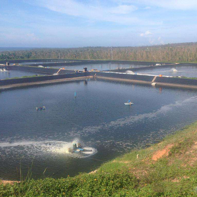 Geomembranes for Reservoir Seepage Control