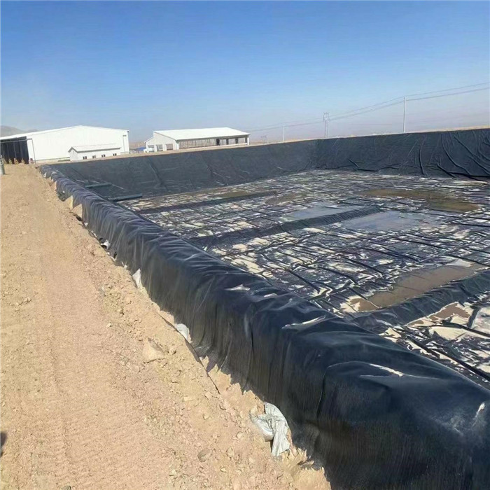 HDPE geomembrane