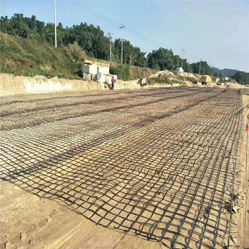 Geogrid