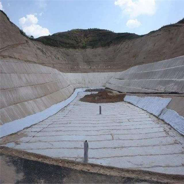 3Ddrainage network4.jpg